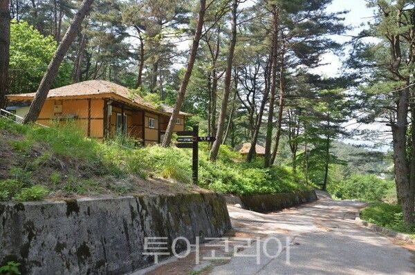 흥부골자연휴양림