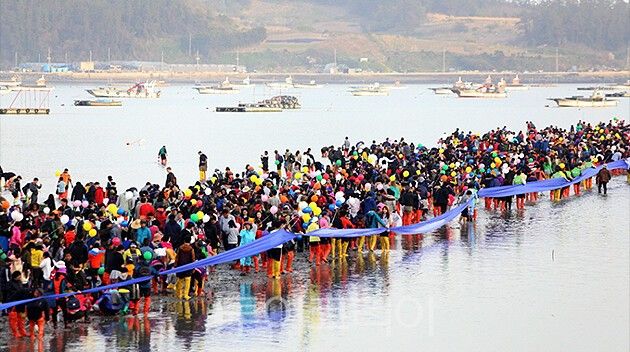 진도 신비의 바닷길 축제/사진=(사)진도군관광진흥협의회