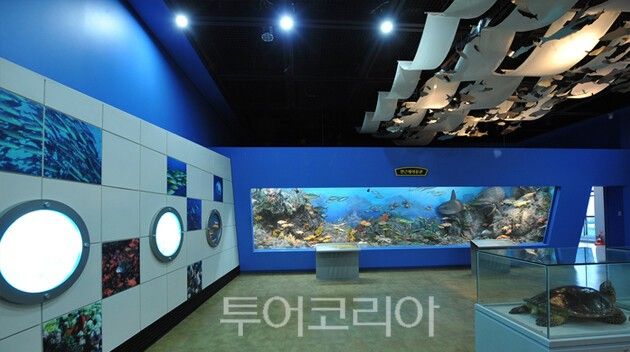진도해양생태관/사진 제공=&nbsp;&nbsp;해양생태관