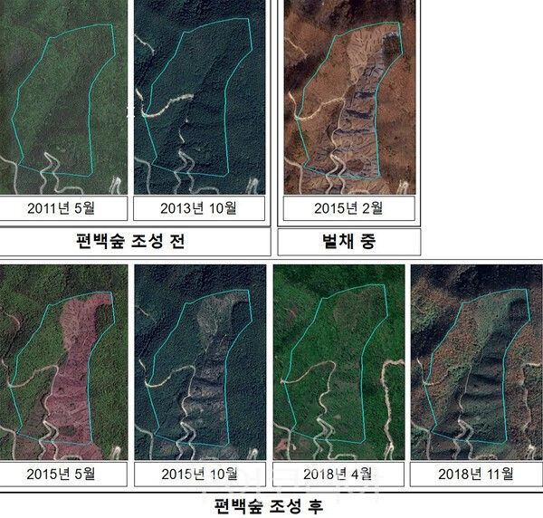 사진 / 편백숲 조성 과정 변화