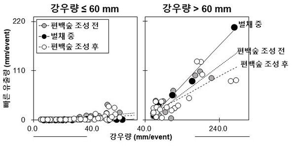 사진 / 강우크기에 따른 편백숲 조성 후 빠른 유출량 변화