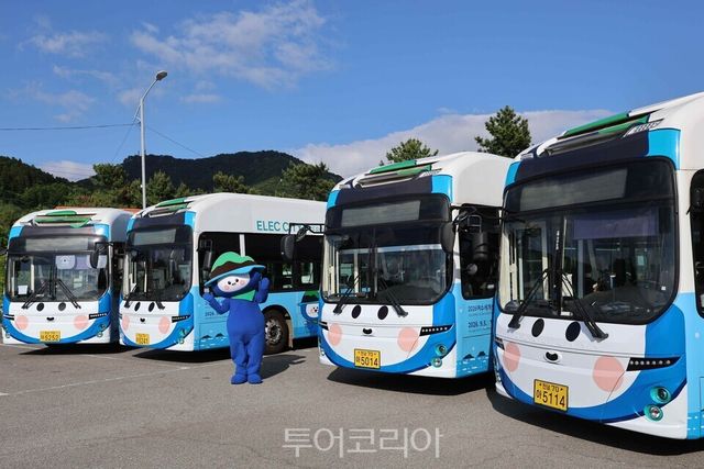 2026여수세계섬박람회 공식 캐릭터&nbsp; 홍보&nbsp; ‘다섬이 버스'/사진=여수시