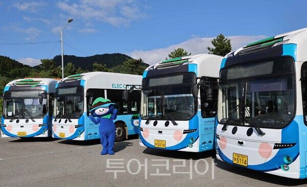 사진 / 섬박람회 다섬이 버스의 모습