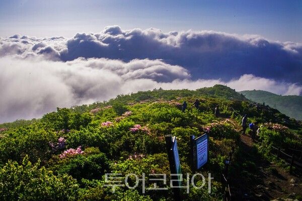 사진 / 덕유산 중봉에서 사진작가들이 촬영하는 모습_투어코리아 유지훈 기자