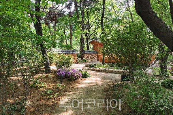 사진_오솔길과 협문(주간) / 국가유산청 제공