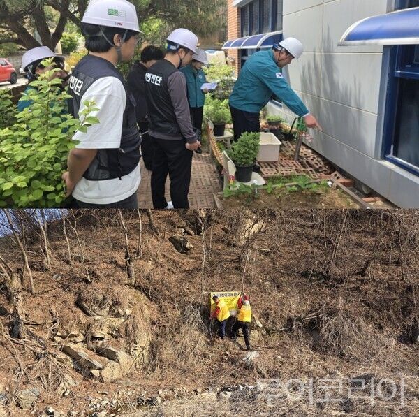 ▲(上)홍성군 안전취약시설 민·관 합동 점검 모습. (下)금산군 산사태취약지역 안내 현수막 게첨 모습. /사진-홍성·금산(편집 류석만 기자)