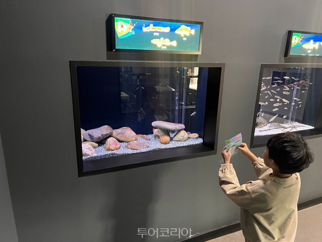 &nbsp; 민물고기 스티커를 들고 북벽물고기정원을 탐험하는 아이 /사진-단양군