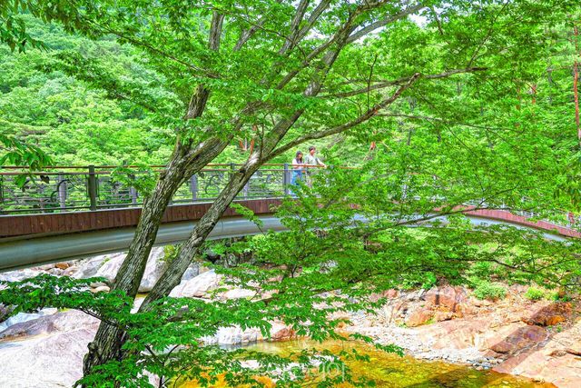 산청 대원사계곡길 /사진-산청군