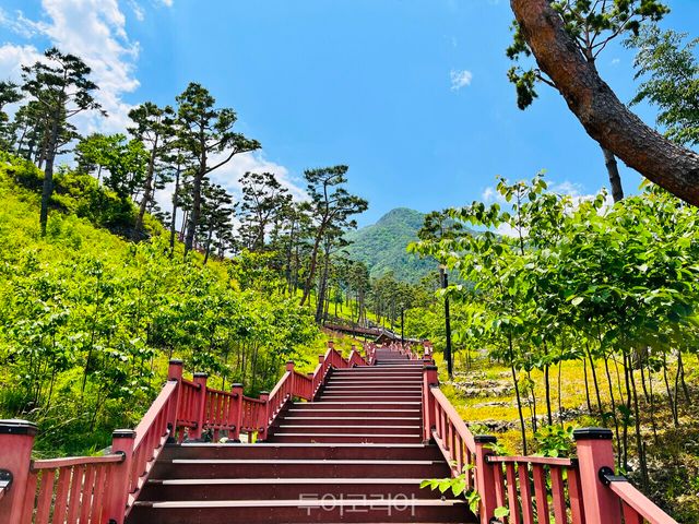 산청 동의보감촌 /사진-산청군