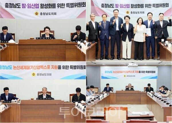 ▲(上)10일 박미옥(비례·국민의힘)‘충청남도 밤·임산업 활성화를 위한 특별위원회’ 위원장의 주재로 열린 회의 모습, (下)윤기형(논산1·국민의힘) ‘논산세계딸기산업엑스포 지원 특별위원회’ 위원장 주재로 열린 회의. /사진-충남도의회(편집 류석만 기자)