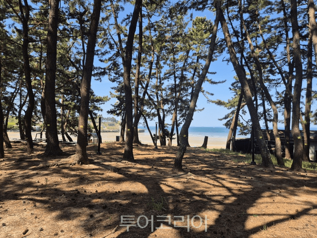 용두해변 / 사진-보령시