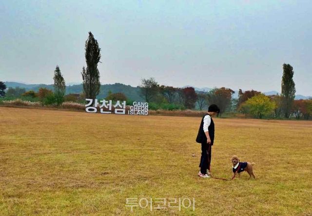 강천섬의 넓은 잔디광장에서 반려견과 산책을 즐기는 나들이객 / 사진-투어코리아