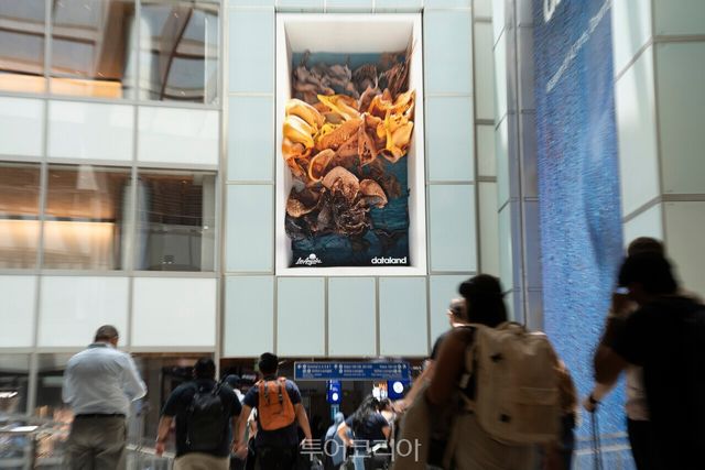 로스앤젤레스 국제공항 톰 브래들리 국제선 터미널에서 여행객들을 맞이하는 레픽 아나돌의 AI 아트 작품.공항 도착과 동시에 로스앤젤레스의 창의적인 문화 콘텐츠를 경험할 수 있다. /사진 제공- 로스앤젤레스관광청
