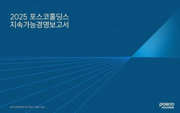 출처=포스코홀딩스