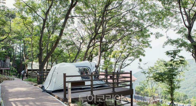 김해 신어산자연숲캠핑장 /사진-경남도