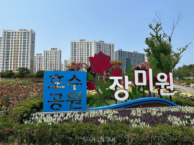 호수공원 장미원 전경 / 사진-김포시