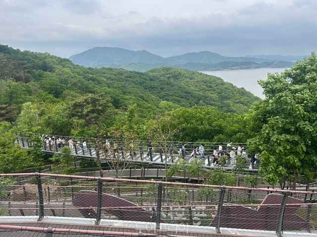 애기봉 생태탐방로를 걸으며 보존된 자연 생태를 관찰하는 학생들 / 사진-김포시