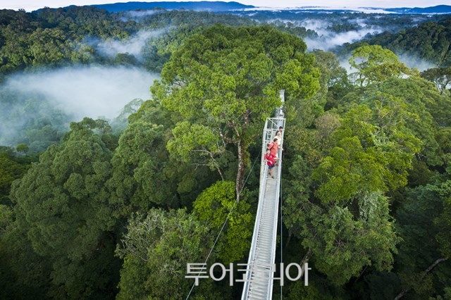 울루 템부롱 국립공원