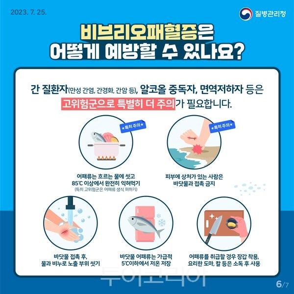 비브리오패혈증 예방 포스터/질병관리청 제공