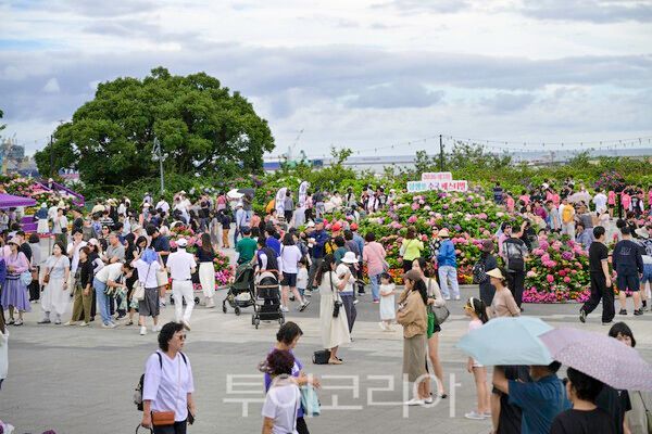 '장생포 수국, 설렘을 타다'를 주제로 열린 '2026 제5회 장생포 수국페스티벌'이 지난 19일부터 28일까지 10일간의 일정을 마치고 성황리에 막을 내렸다./사진-울산 남구