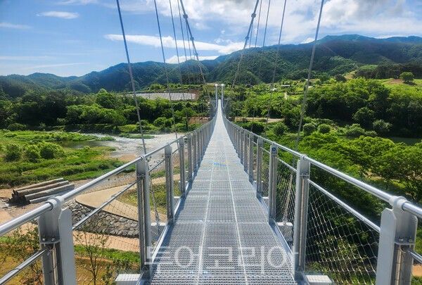 사진 / 출렁다리의 모습