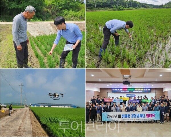 ▲(上)부여군 벼 먹노린재와 물바구미 등 병해충 현장 지도, 서천군 병해충 발생 항공방제 안전교육 및 벼 병해충 공동방제단 발대식 모습. /사진-부여·서천(편집 류석만 기자)