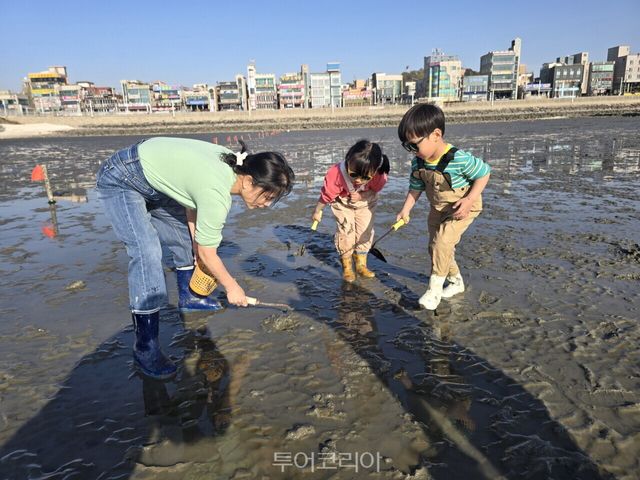 오이도 어촌체험휴양마을 갯벌체험 / 사진-시흥시