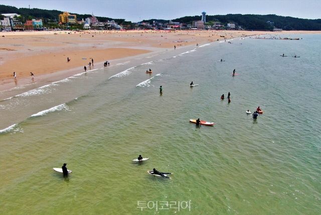 만리포해수욕장-해수욕을 즐기는 여행객/사진-태안군