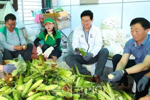 이상일 용인특례시장이 이동읍 새마을부녀회원과 오수수를 손질하며 정담을 나누고 있다/투어코리아뉴스 정명달 기자