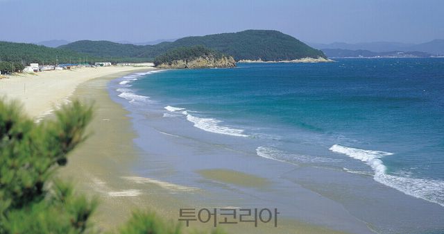 보령 원산도해수욕장/사진=보령시