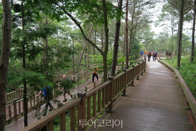 무장애 데크길 더늠길
