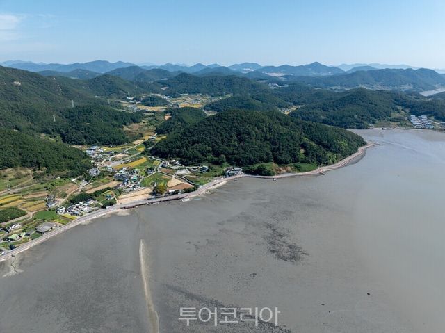 여수갯벌/사진=(재)한국의갯벌세계유산등재추진단