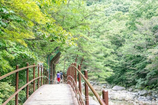남원 뱀사골/ 사진=남원시