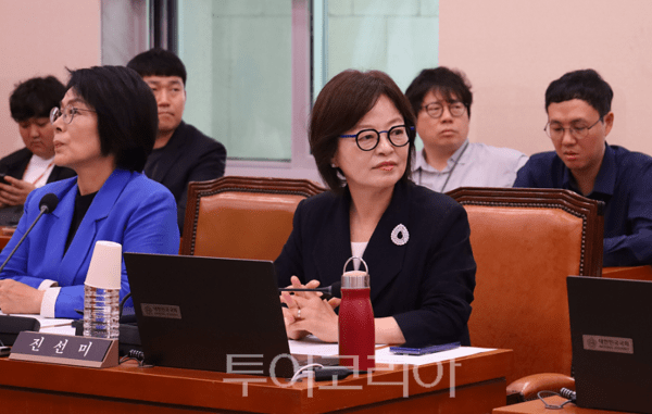 진선미 의원