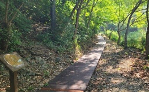 금봉자연휴양림 숲길 모습./사진-의성군