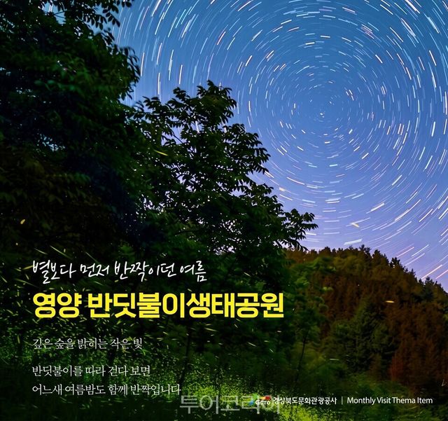 여름밤 날아다니던 살아있는 별똥별 ‘반딧불이’ 잡기 ／경북문화관광공사 제공