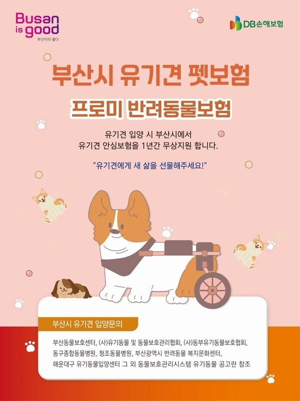 '부산시 유기견 펫보험' 홍보 포스터.