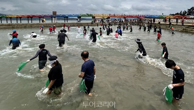 함평 돌머리 해수욕장에서 맨손 장어잡기 체험을 하는 여행객들/사진-전남광주통합특별시