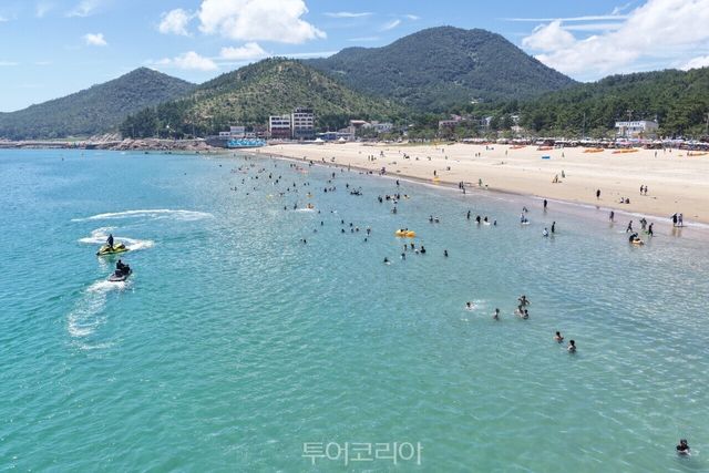 완도 명사십리 해수욕장에서 물놀이를 즐기고 있는 피서객들 /사진-완도군