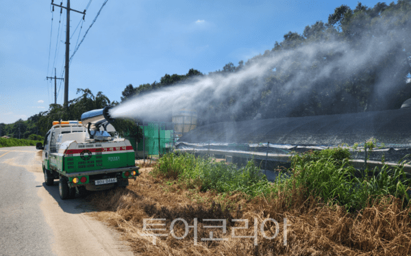 폭염에 가축피해 예방활동 펼치는 여주시/투어코리아뉴스 정명달 기자 사진=여주시