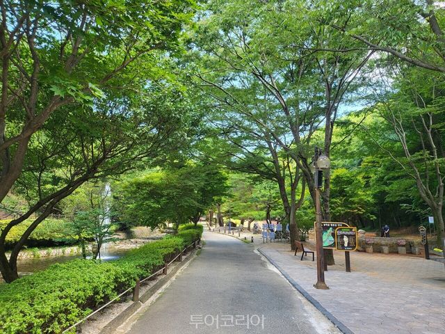 봉학골산림욕장 / 사진-음성군