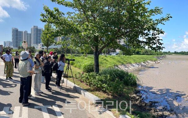 송산유수지 저어새 탐조 / 사진 - 영종구