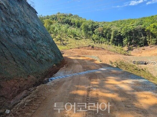 용인특례시 처인구 원삼면 학일리 산49-1번지 일원 간선 임도/투어코리아뉴스 정명달 기자 사진=용인시