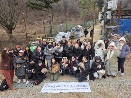 외국인 주민 정착 지원 플랫폼 ‘위브링’, 동부외국인주민센터와 유기견 보호소 봉사활동 진행
