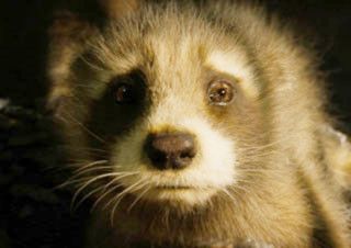 [김소미의 혼자 영화관에 갔어] 작별의 방식 - <가디언즈 오브 갤럭시: Volume 3> | YES24 채널예스