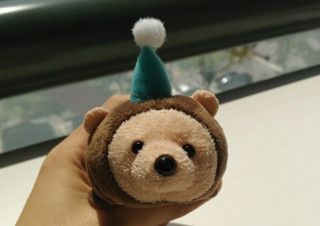 대세는 귀여움 | 예스24 채널예스