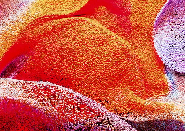 [컬쳐] 다채로운 색감에 풍덩! 주말에 즐길 만한 컬러 전시 | 예스24 채널예스