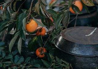 [큐레이션] 책과 함께 하는 가을 미식 여행 | 예스24 채널예스