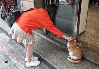 조니워커 “이 계절, 다시 사랑할 용기를” | 예스24 채널예스