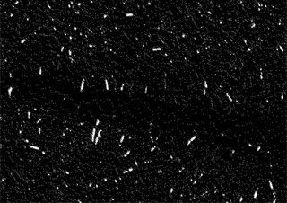 [김선오 칼럼] 지나갈 수 있는 곳이 빈 곳이겠지 | 예스24 채널예스
